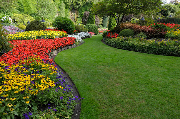 Giardino fiorito con percorso curato
